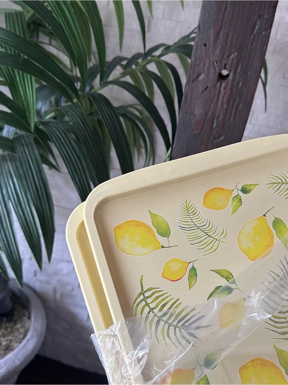 Temptations bright lemon